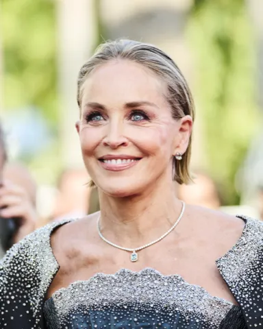 Photo: Gabriel Hutchinson, CC BY-SA 4.0, via Wikimedia Commons Sharon Stone, typed as Light Summer